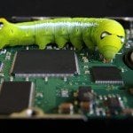 Computer Virus Removal